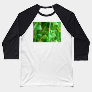 Mantis Baseball T-Shirt